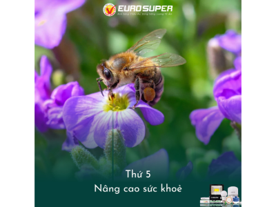 THỨ 5 - NÂNG CAO SỨC KHOẺ
