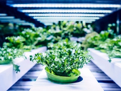 LED trụ nhựa: phục vụ sản xuất nông nghiệp
